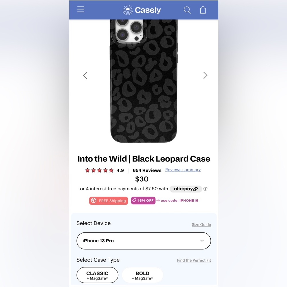 iPhone 13 Pro case